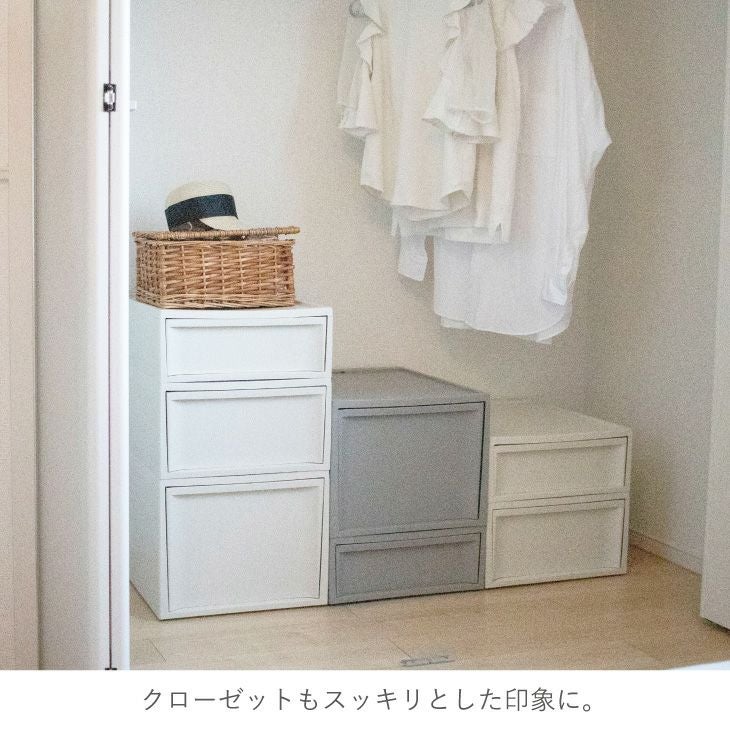 risu スタックシステムケース ワイドS ワイドM RISU 収納ケース スタックシステムケース ワイドS 2段セット（引き出し収納ボックス