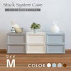 スタックシステムケース ワイドM 2段セット（引き出し収納ボックス）　5mout