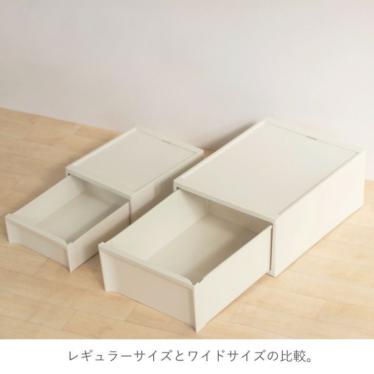 スタックシステムケース レギュラーM 2段セット（引き出し収納ボックス