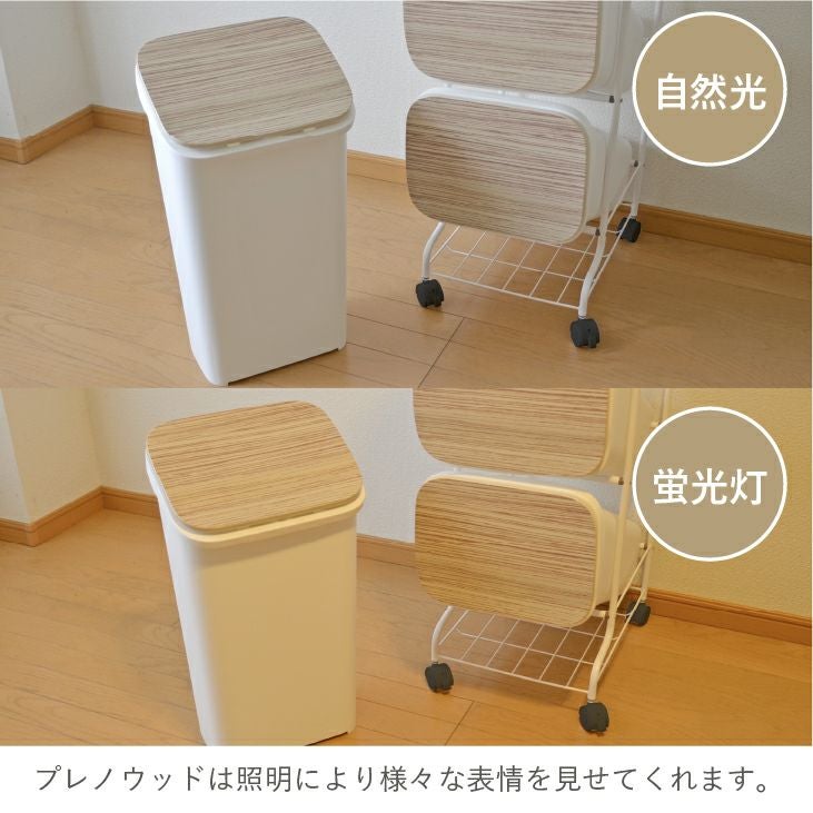 RISU スタンドダストボックス4P（分別式ゴミ箱） | リス公式オンライン