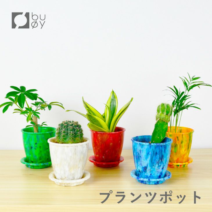 buoy プランツポット | リス公式オンラインショップ