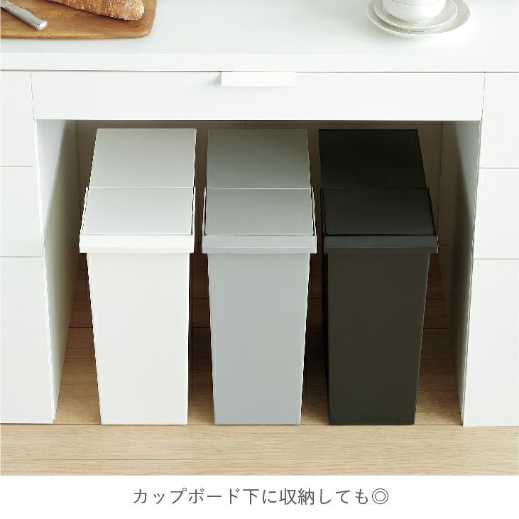 レオ　ダストボックス 000000000347-07.jpg?size=l&w=